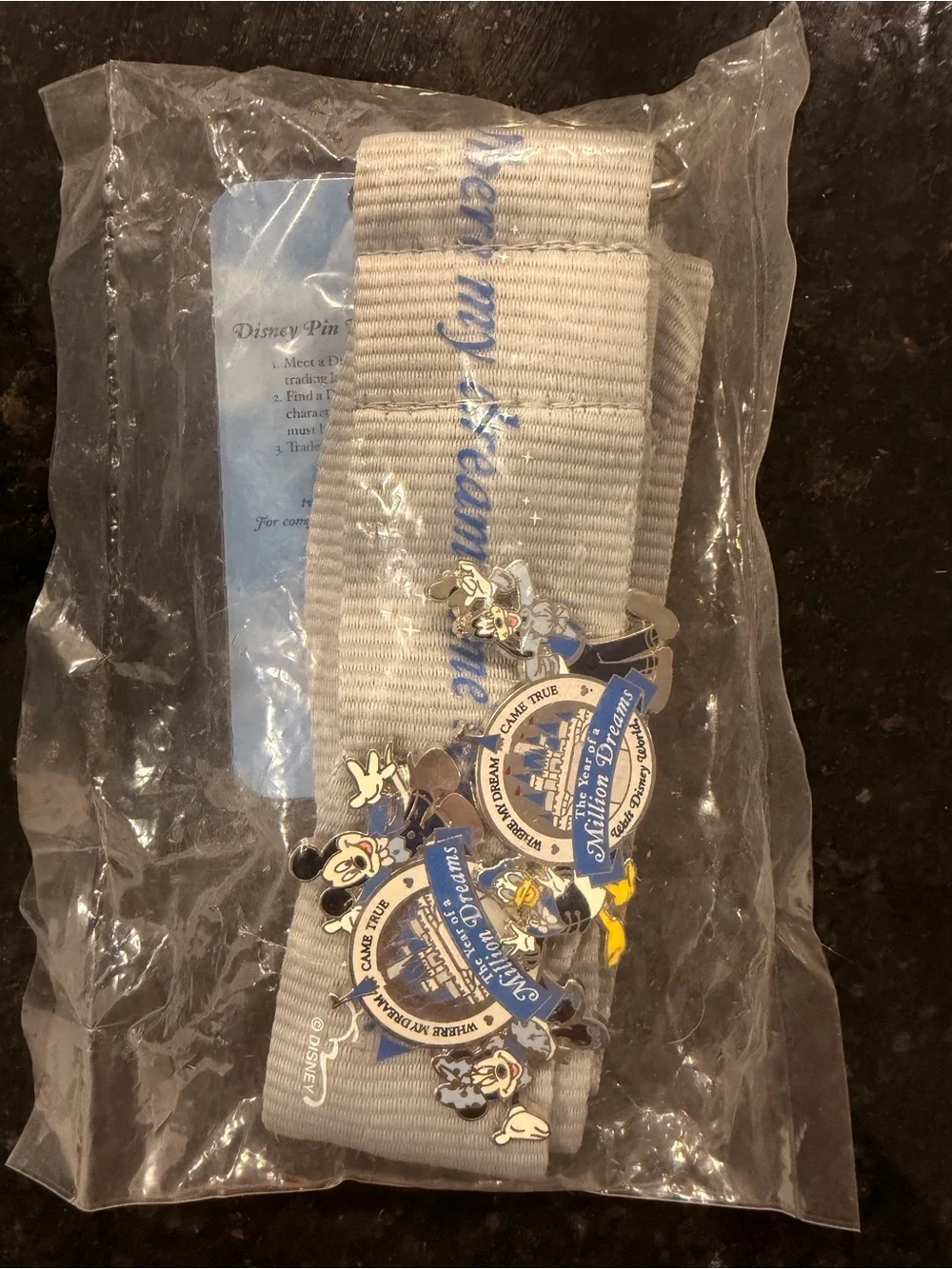 Disney Year of a Million Dreams Lanyard 2-Pin Set